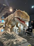 福井県立恐竜博物館に投稿された画像（2025/1/15）