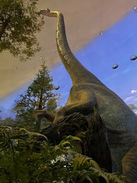 福井県立恐竜博物館に投稿された画像（2025/1/14）