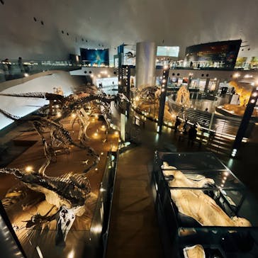 福井県立恐竜博物館に投稿された画像（2025/1/14）