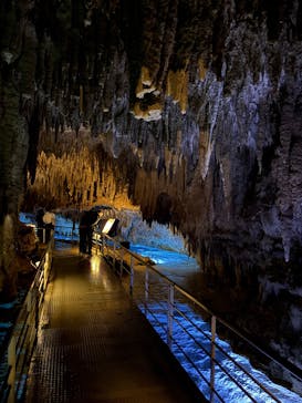 おきなわワールドに投稿された画像（2025/1/14）