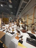 特別展「鳥 ～ゲノム解析が解き明かす新しい鳥類の系統～」国立科学博物館に投稿された画像（2025/1/15）