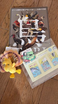 特別展「鳥 ～ゲノム解析が解き明かす新しい鳥類の系統～」国立科学博物館に投稿された画像（2025/1/14）