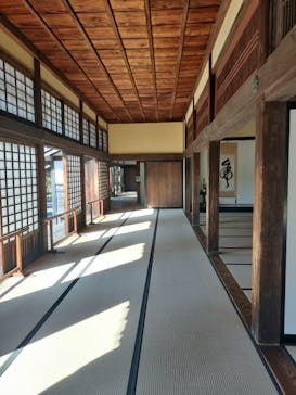 掛川城に投稿された画像（2025/1/15）