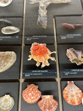 国立科学博物館に投稿された画像（2025/1/15）