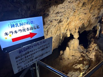 石垣島鍾乳洞に投稿された画像（2025/1/15）