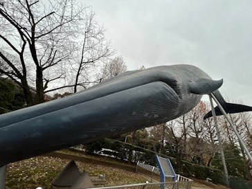 国立科学博物館に投稿された画像（2025/1/15）