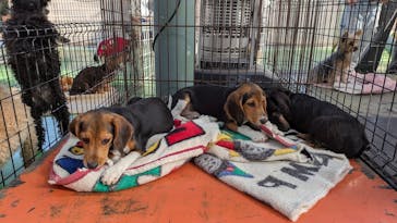 つくばわんわんランドに投稿された画像（2025/1/15）