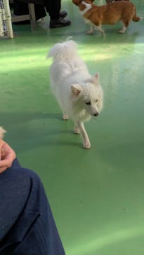 つくばわんわんランドに投稿された画像（2025/1/15）