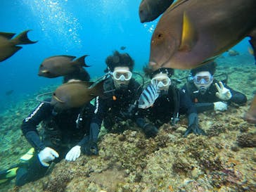 武藤潜水に投稿された画像（2025/1/15）