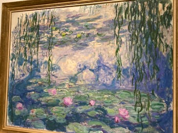 モネ 睡蓮のとき（国立西洋美術館）に投稿された画像（2025/1/15）