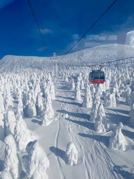 蔵王ロープウェイに投稿された画像（2025/1/15）