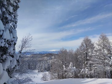 黒伏高原スノーパーク ジャングル・ジャングルに投稿された画像（2025/1/15）