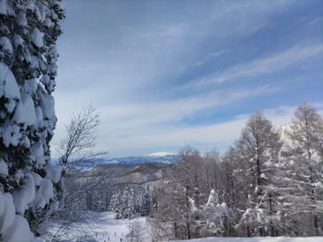 黒伏高原スノーパーク ジャングル・ジャングルに投稿された画像（2025/1/15）