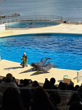 マリンワールド海の中道に投稿された画像（2025/1/15）