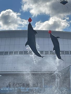 名古屋港水族館に投稿された画像（2025/1/15）