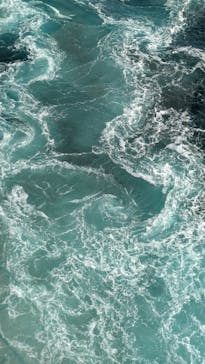 徳島県立 渦の道に投稿された画像（2025/1/15）