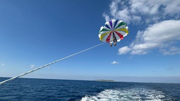 Sea World（シーワールド）に投稿された画像（2025/1/15）