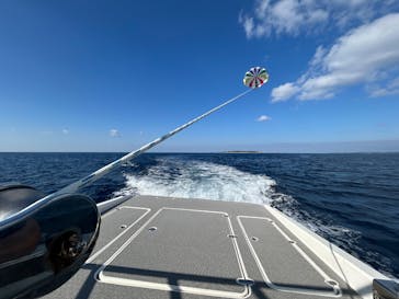 Sea World（シーワールド）に投稿された画像（2025/1/15）