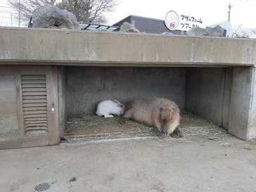 マザー牧場に投稿された画像（2025/1/15）