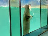 下田海中水族館に投稿された画像（2025/1/15）