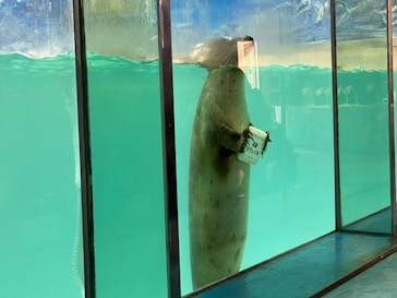 下田海中水族館に投稿された画像（2025/1/15）