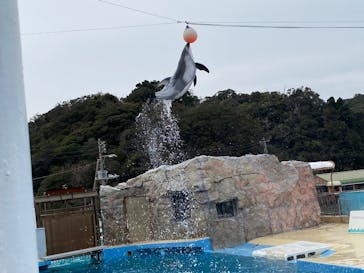 下田海中水族館に投稿された画像（2025/1/15）