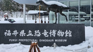 福井県立恐竜博物館に投稿された画像（2025/1/15）
