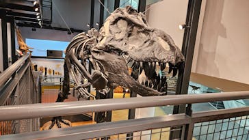 福井県立恐竜博物館に投稿された画像（2025/1/15）