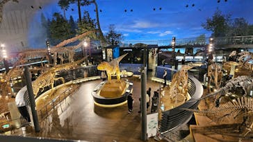 福井県立恐竜博物館に投稿された画像（2025/1/15）