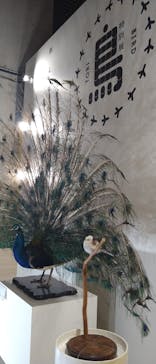 特別展「鳥 ～ゲノム解析が解き明かす新しい鳥類の系統～」国立科学博物館に投稿された画像（2025/1/15）