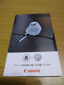 特別展「鳥 ～ゲノム解析が解き明かす新しい鳥類の系統～」国立科学博物館に投稿された画像（2025/1/15）