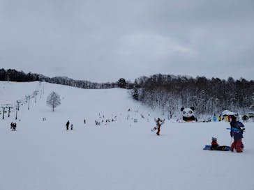 水上高原 藤原スキー場に投稿された画像（2025/1/15）
