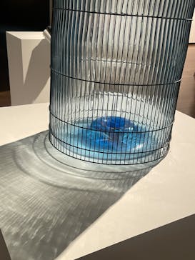 TRIO パリ・東京・大阪 モダンアート・コレクションに投稿された画像（2025/1/15）