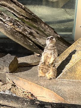 東武動物公園に投稿された画像（2025/1/15）