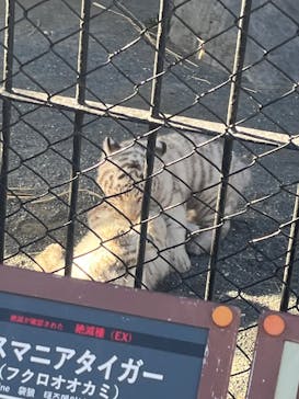 東武動物公園に投稿された画像（2025/1/15）