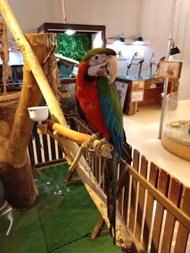 Moff animal cafe イオンモール幕張新都心店に投稿された画像（2025/1/15）