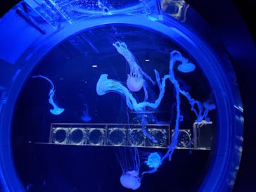 AOAO SAPPOROに投稿された画像（2025/1/15）