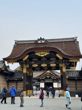 元離宮二条城に投稿された画像（2025/1/15）