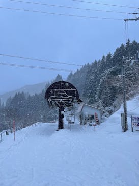 氷ノ山国際スキー場に投稿された画像（2025/1/16）