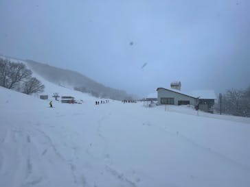 氷ノ山国際スキー場に投稿された画像（2025/1/16）