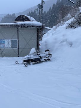 氷ノ山国際スキー場に投稿された画像（2025/1/16）