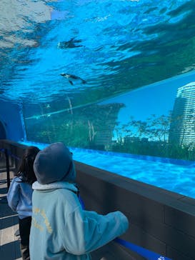 サンシャイン水族館に投稿された画像（2025/1/16）