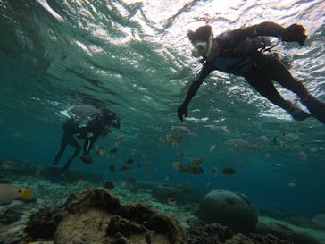 武藤潜水に投稿された画像（2025/1/16）