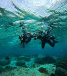 青の洞窟専門店　沖縄ダイビングショップ和に投稿された画像（2025/1/16）