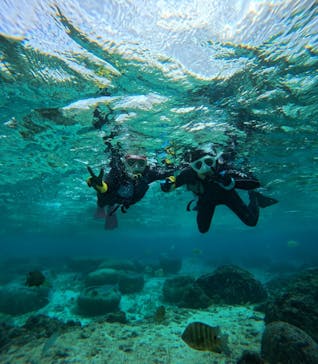 青の洞窟専門店　沖縄ダイビングショップ和に投稿された画像（2025/1/16）