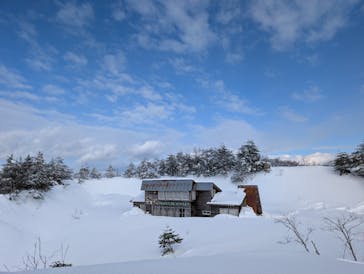 胎内スキー場に投稿された画像（2025/1/16）