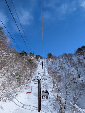 胎内スキー場に投稿された画像（2025/1/16）