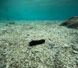 沖縄マリンサービス碧に投稿された画像（2025/1/16）