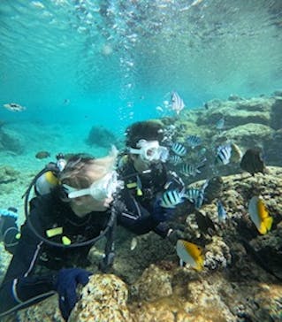 沖縄マリンサービス碧に投稿された画像（2025/1/16）