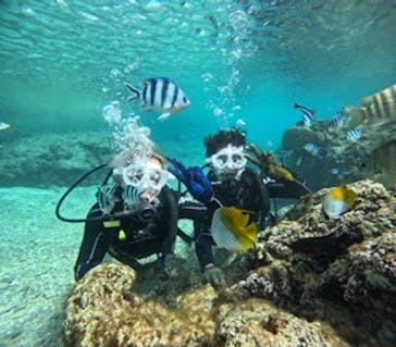 沖縄マリンサービス碧に投稿された画像（2025/1/16）